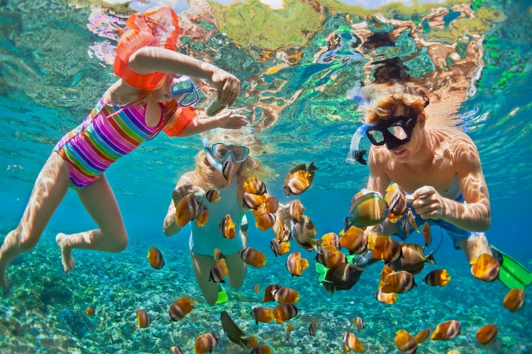Snorkeling tour in Cabo San Lucas crystal clear waters